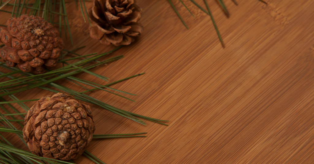 A wooden table and pinecones and pine needles arranged on the left side.